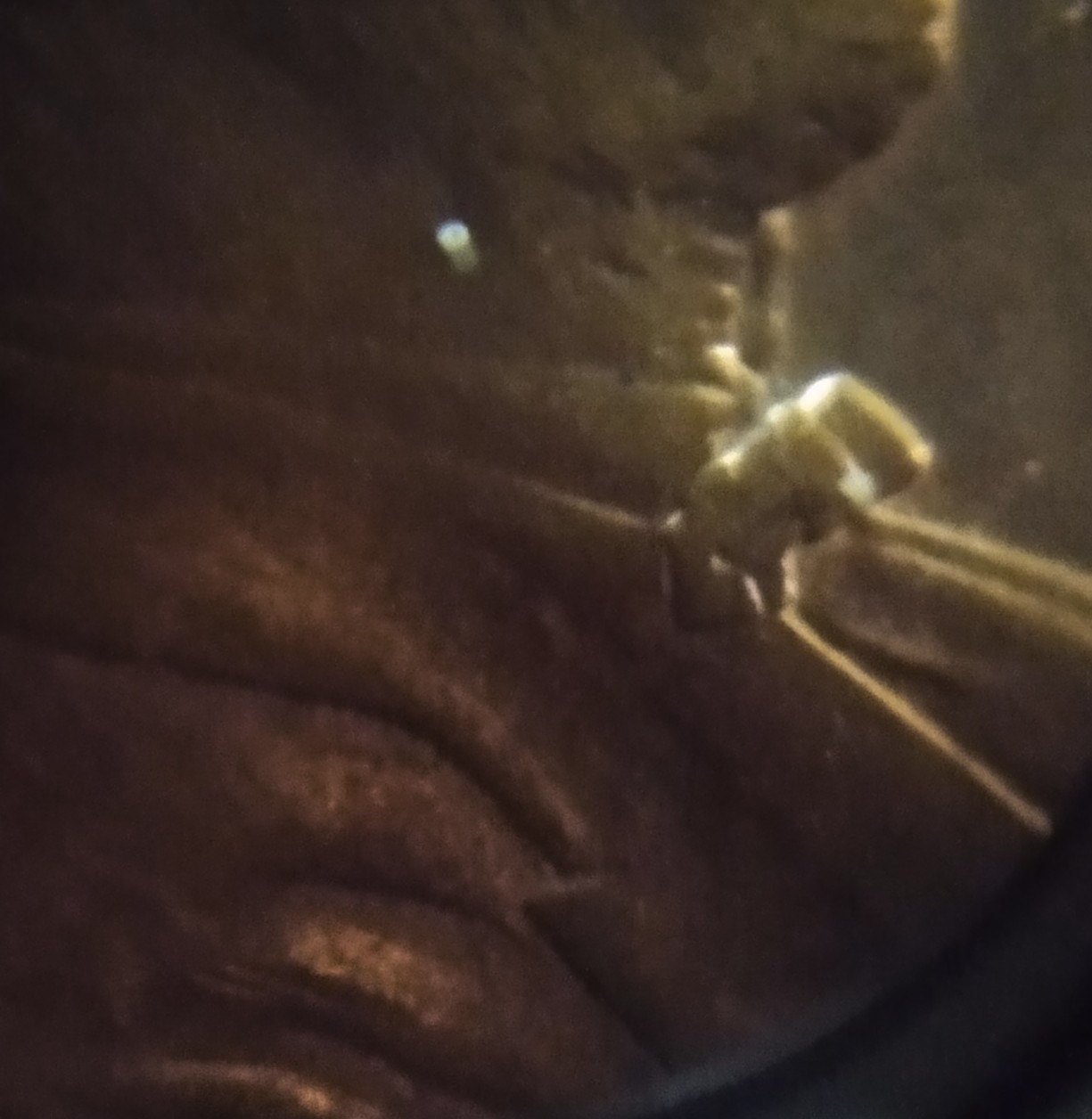 1999-D-Penny-Die-Deterioration-Or?