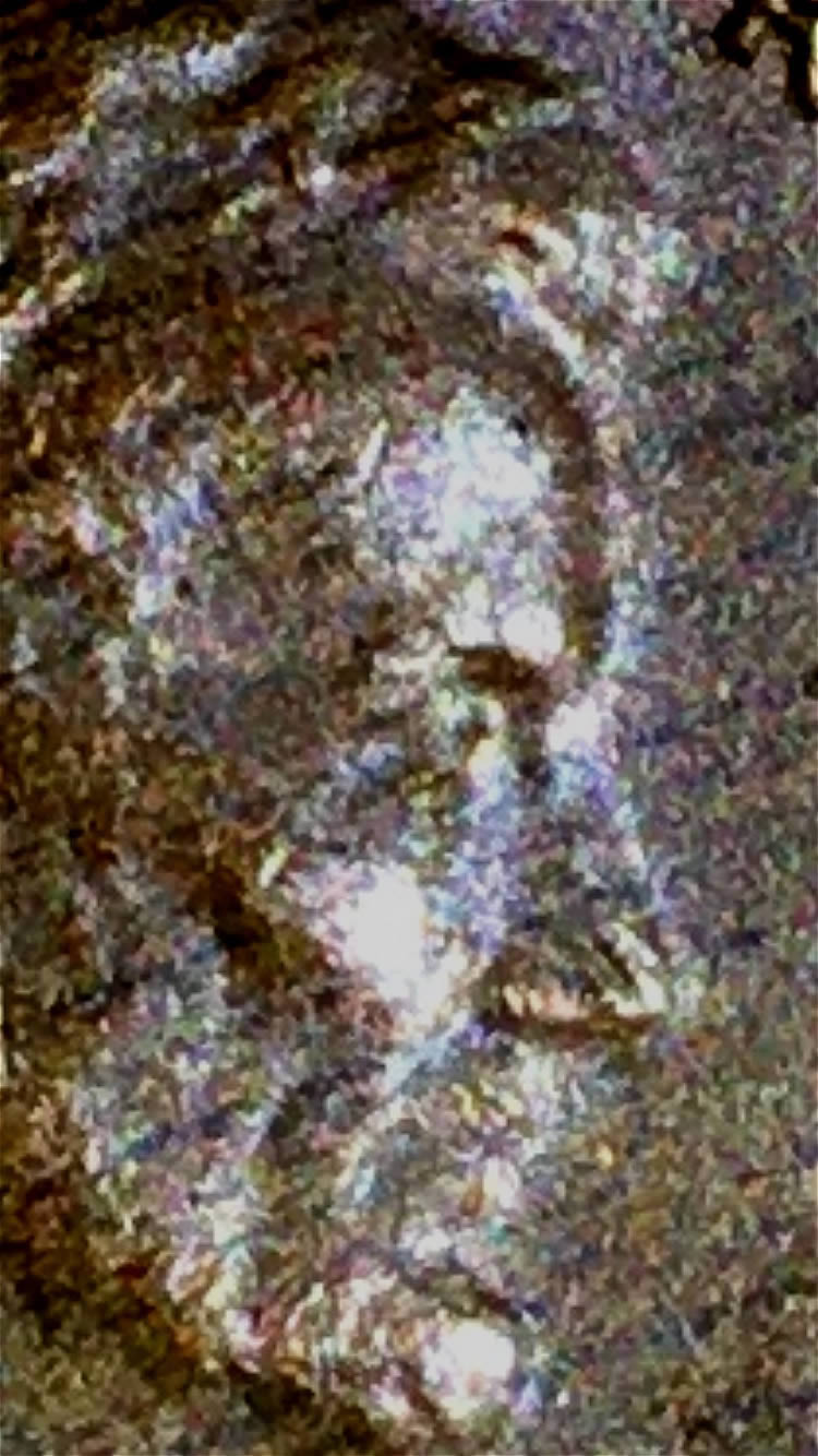 Has-Anyone-Ever-Seen-This-Variety-Of-1980-D-Lincoln-?