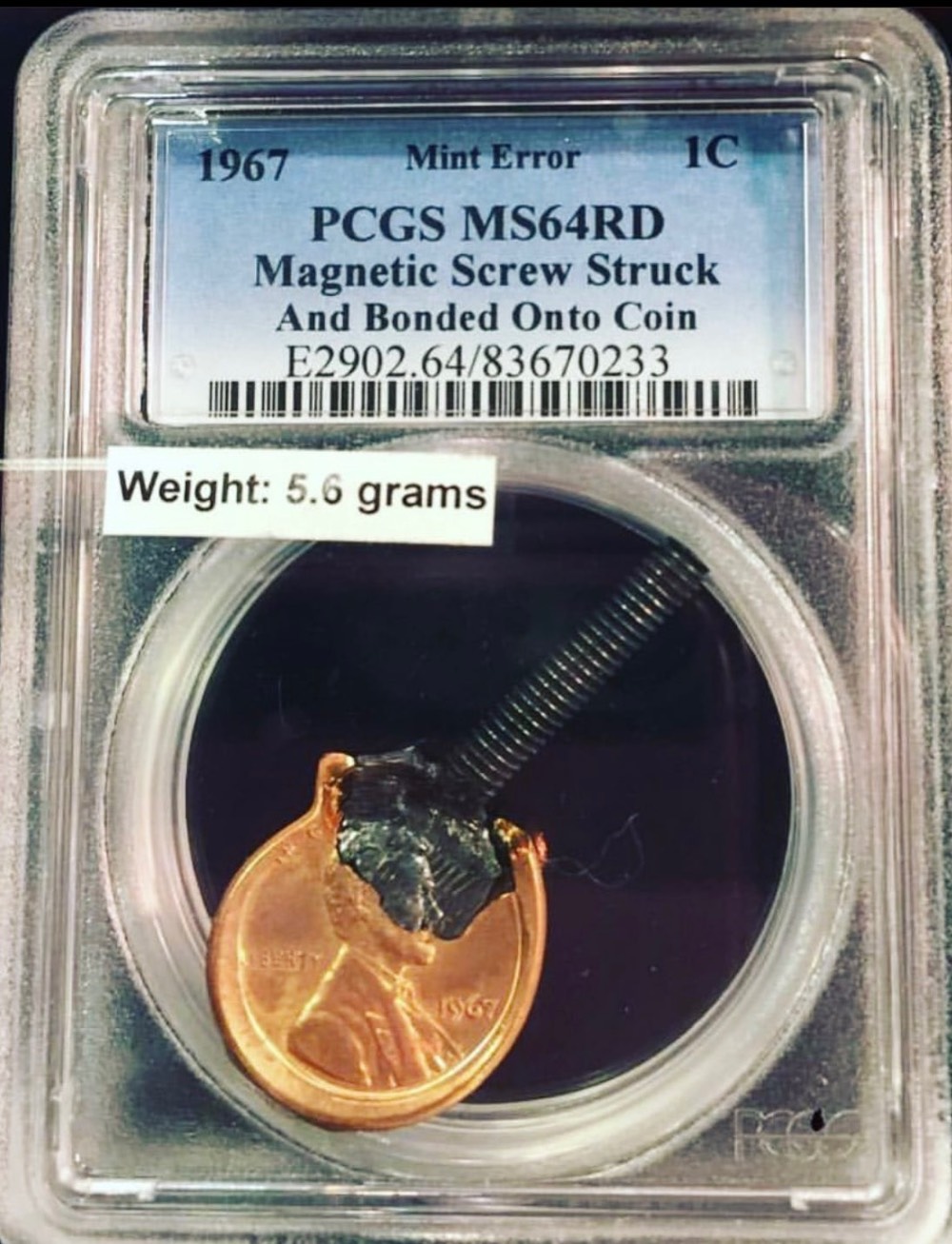 Unusual-PCGS-Graded-Bonded-Pair