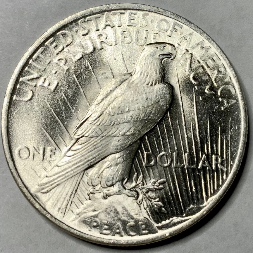 Another-1923-P-Peace-Dollar.
