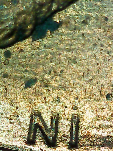 1983-Lincoln-Cent.something-Going-On-Inbetween-The-Pillars-And-Maybe-A-Diecrack?