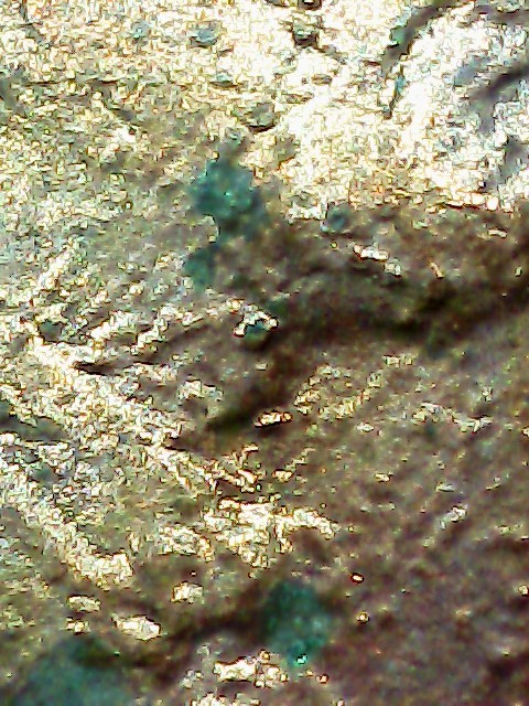 1983-Lincoln-Cent.something-Going-On-Inbetween-The-Pillars-And-Maybe-A-Diecrack?