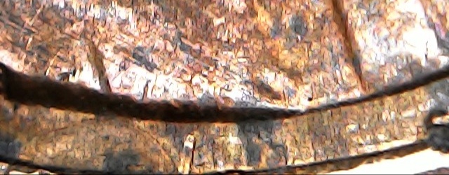 Guys-I'm confused-With-This-1989-D-Lincoln-Cent-!