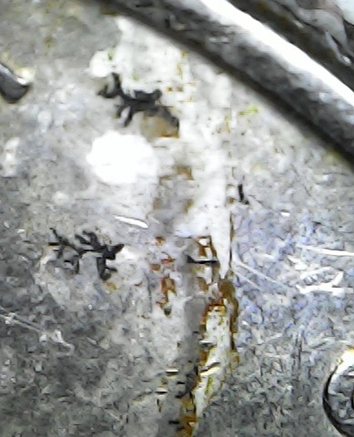 2000-New-Hampshire-Quarter-Die-Break?