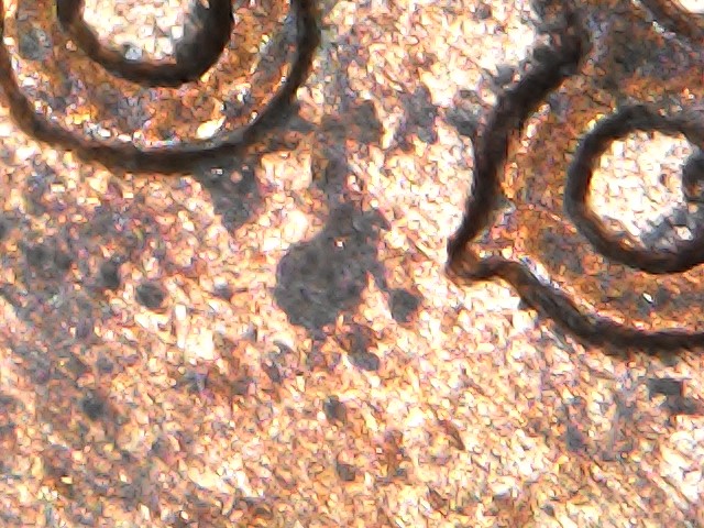 1988-D-Lincoln-Cent-With-Odd-8!