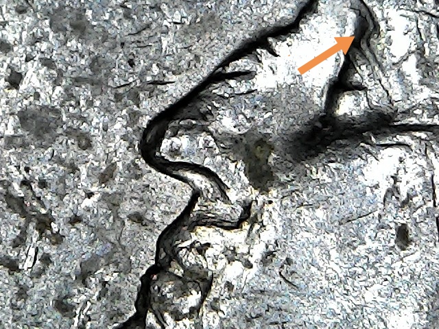1994-D-Quarter-Possible-DDO,-DDR-And-MD?