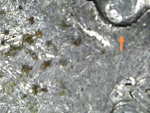1994-D-Quarter-Possible-DDO,-DDR-And-MD?