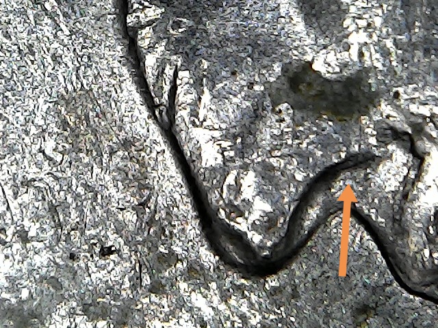 1994-D-Quarter-Possible-DDO,-DDR-And-MD?