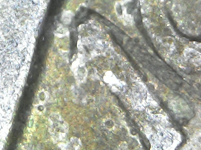 1998-D-Roosevelt-Dime-Possible-DDO?