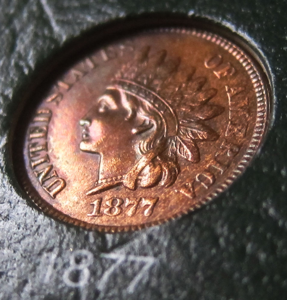 1877-Indian-Head-Penny---Any-Input?