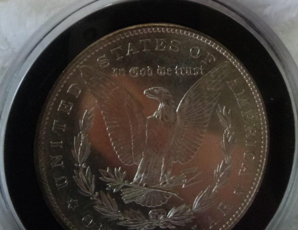 1882-S-Morgan-Dollar-For-Grading