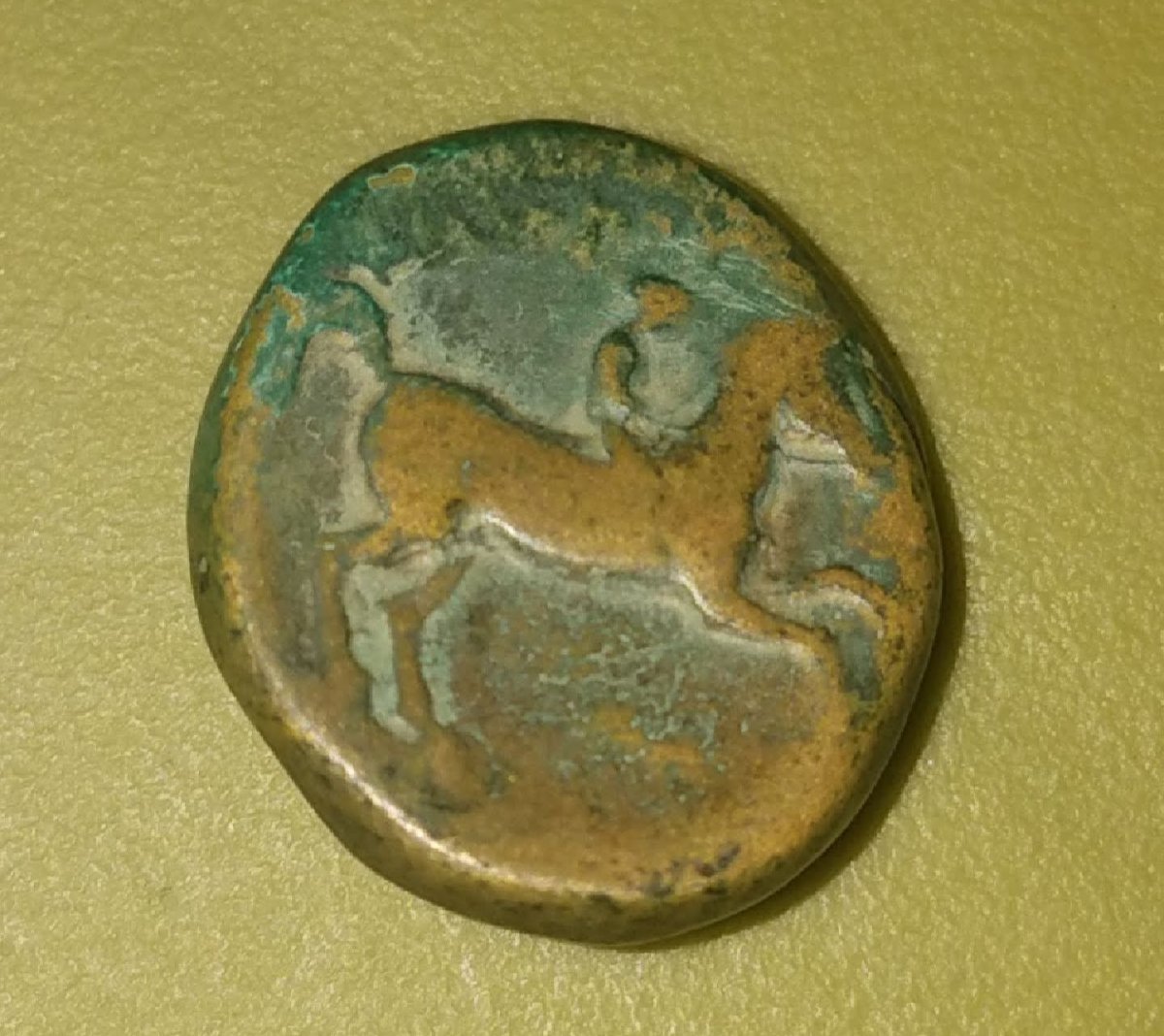 My-First-Animal-On-A-Coin.