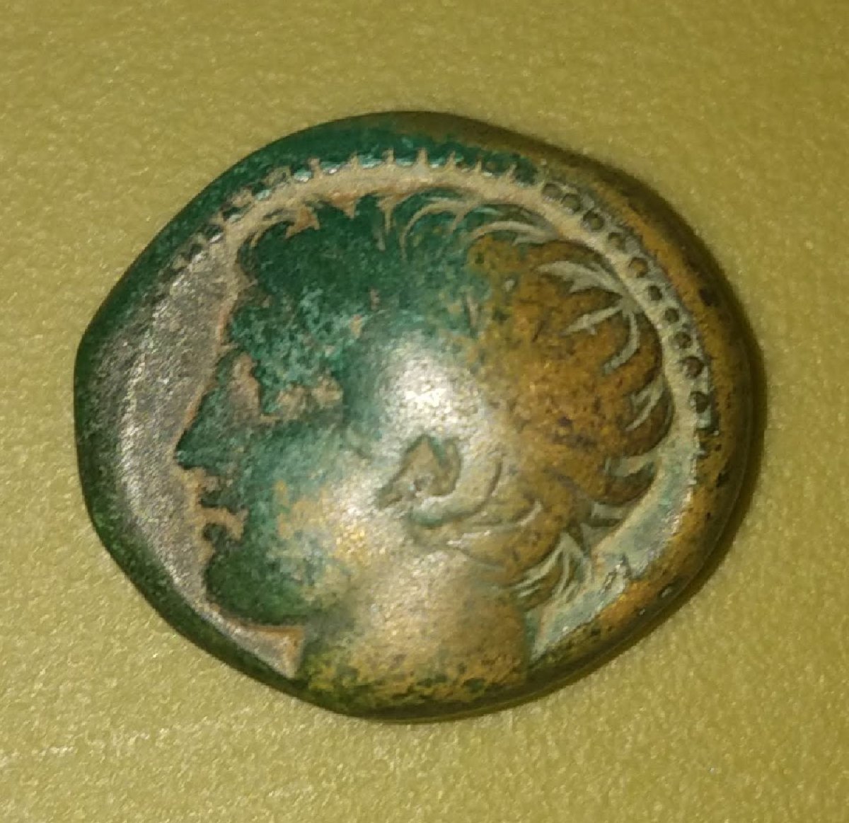 My-First-Animal-On-A-Coin.