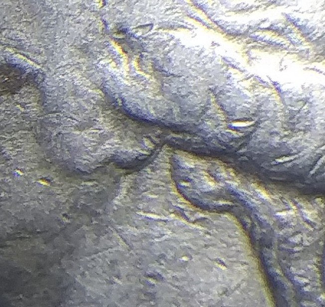 1985-D-Quarter...two-Ears?m