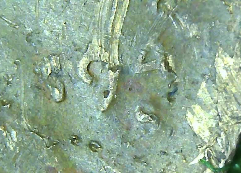 194?-S-Lincoln-Wheat-Penny