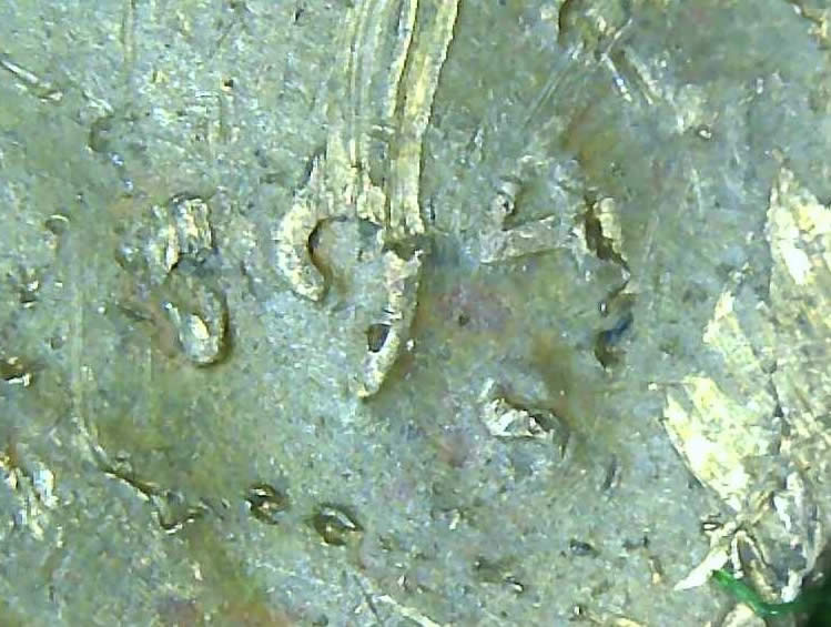 194?-S-Lincoln-Wheat-Penny