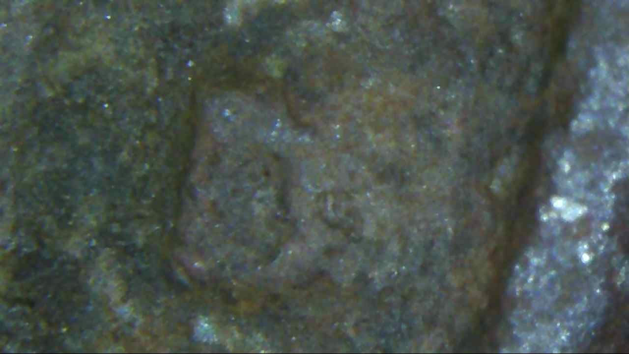 1964-D-Nickel-Possible-RPM-And-No-Clad-Layer