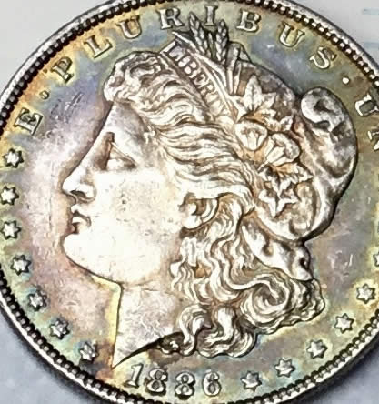 1886-S-Possibly-Morgan-Dollar-Grading