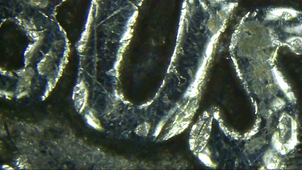 1946-Walking-Liberty-Possible-DDR?