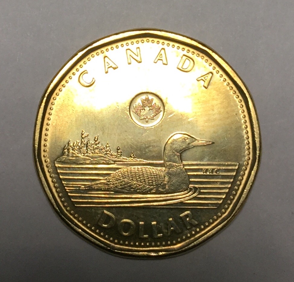 Found-A-Queen-Mask-Loonie-While-Looking-For-Mask-Twoonie,-Is-It-Real?