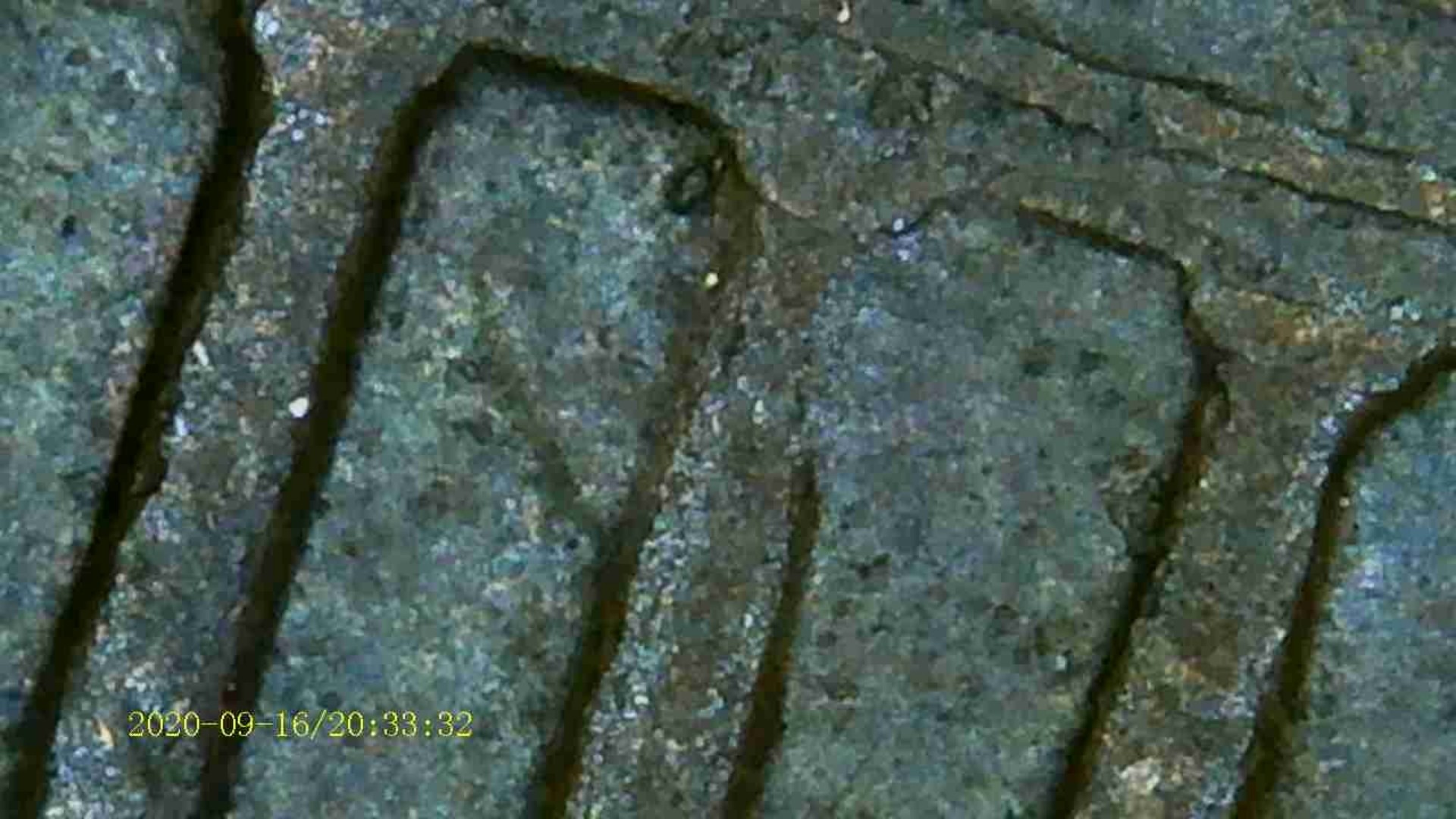 Would-This-Be-An-Error-Coin-Or-Just-Circulation-Wear-And-Tear?