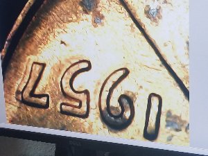 2019-DD--Or-MD?-D-Lincoln-Still-Learning-Thanks