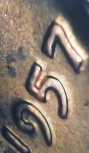 2019-DD--Or-MD?-D-Lincoln-Still-Learning-Thanks