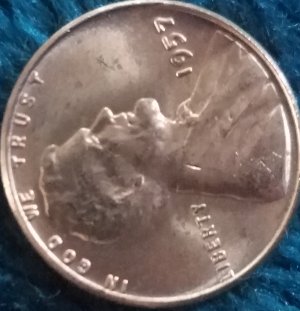 2019-DD--Or-MD?-D-Lincoln-Still-Learning-Thanks
