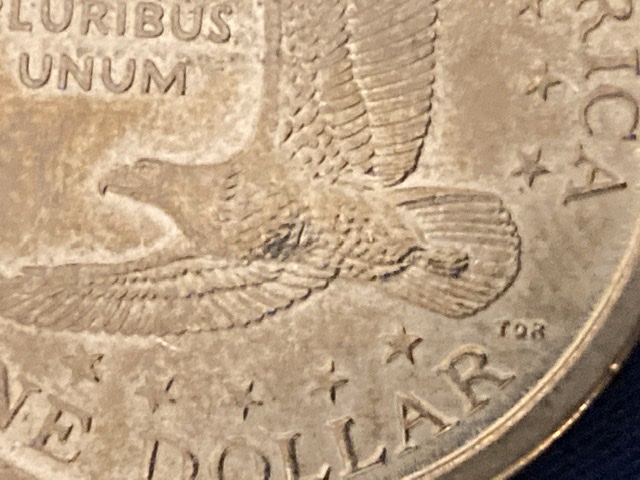 Wounded-Sacagawea-2000-P