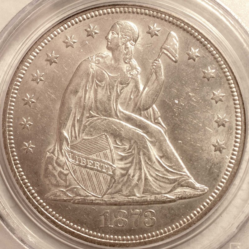 1873-Seated-Dollar:--How-Does-She-Grade?