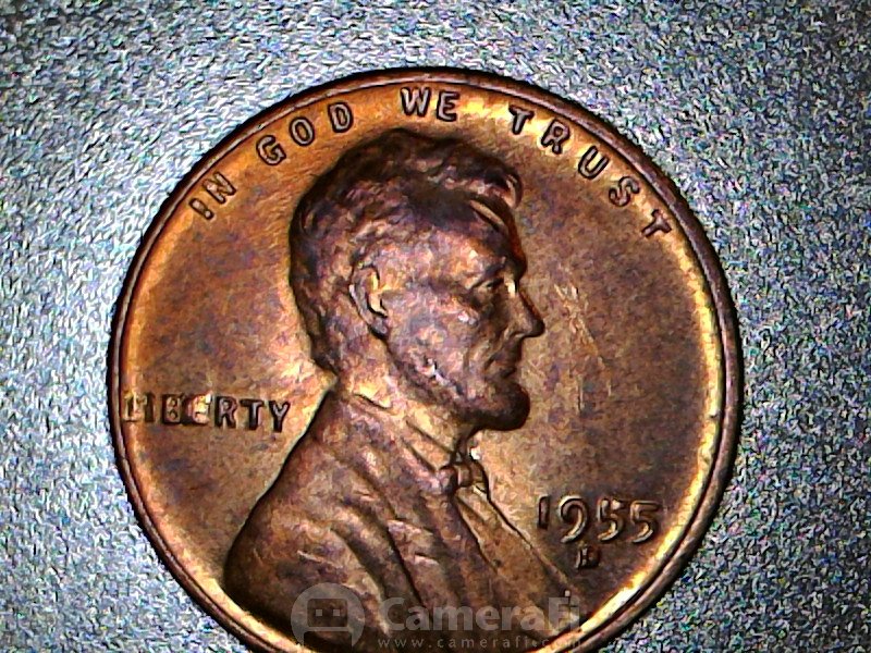 1955-D-LWC-BIE-Error
