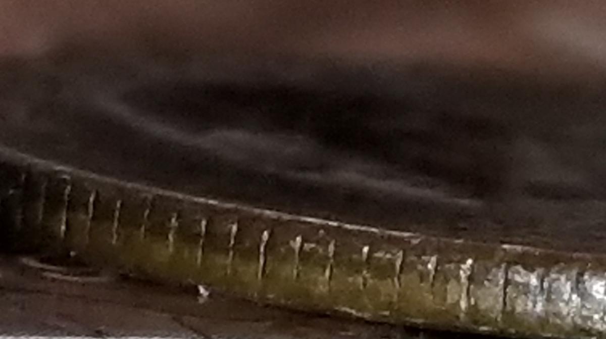 1980-D-Quarter-Missing-OBV-Clad-Layer---5.5g-Could-This-Be-The-Real-Deal?