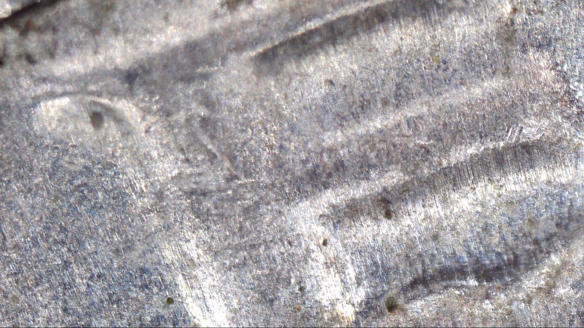 1986-D-Half-Dollar-Possible-DDO?