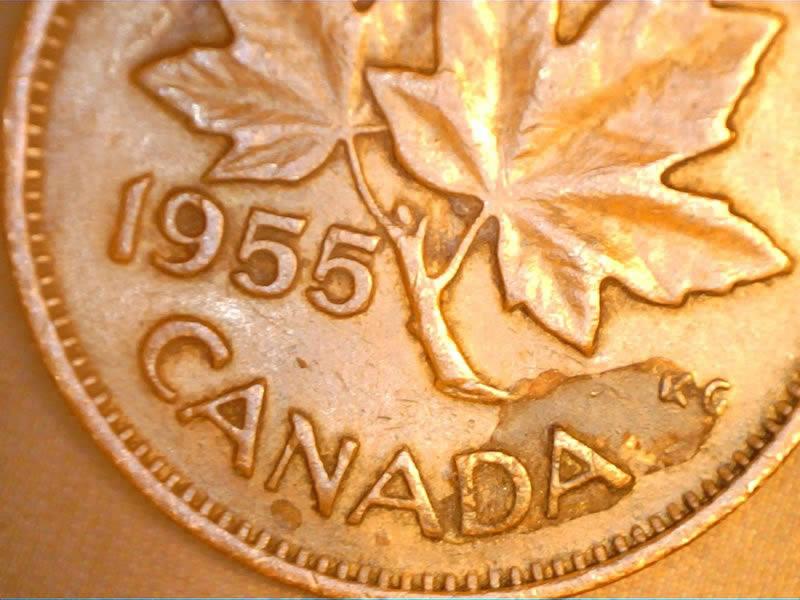 1955-Canadia-What-Going-On-This-Coins-On-Back-Guys-Help-Me-Out-On-It-Thanks