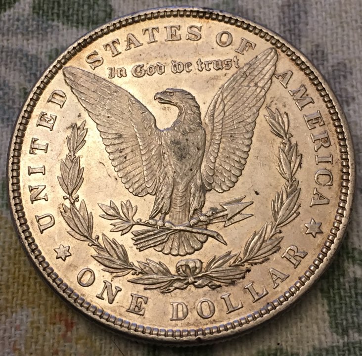 1879-&-1889-Morgan-Dollar