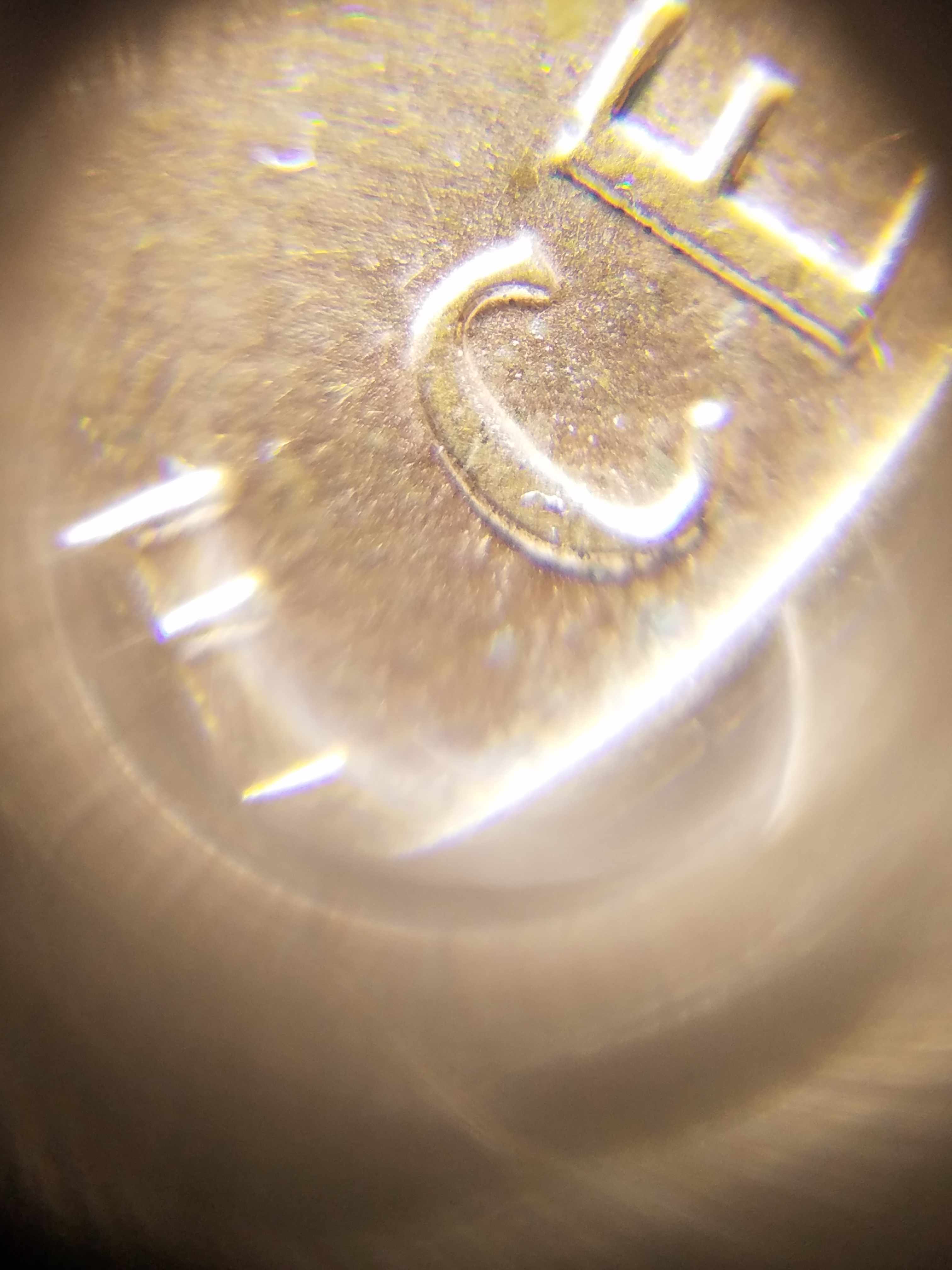 MD-Or-DD-On-Pennies-Question