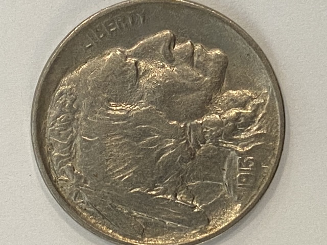 Type-1-1913-P-Buffalo-Nickel-Came-In