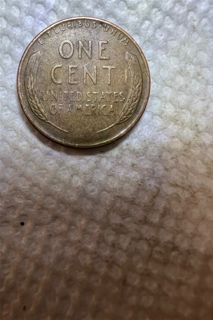 1954-D-Wheat-Penny-Doubling?