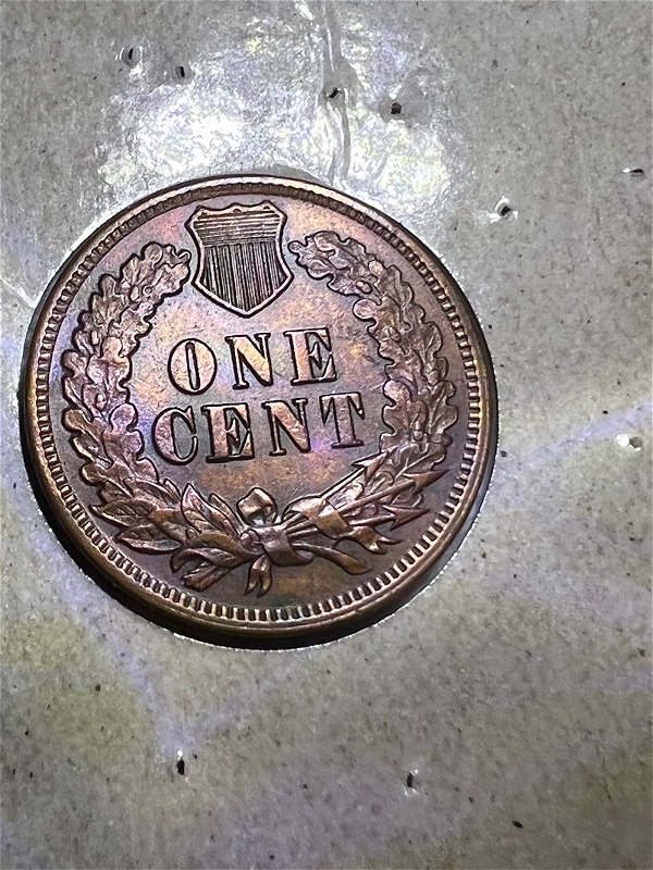 1879-Indian-Head-Penny-Grade