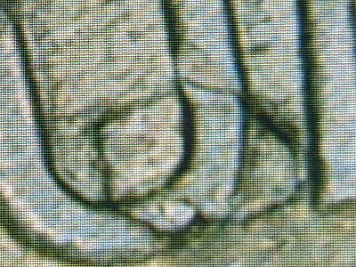 1964-Kennedy-Half-Dollar-#2-Question