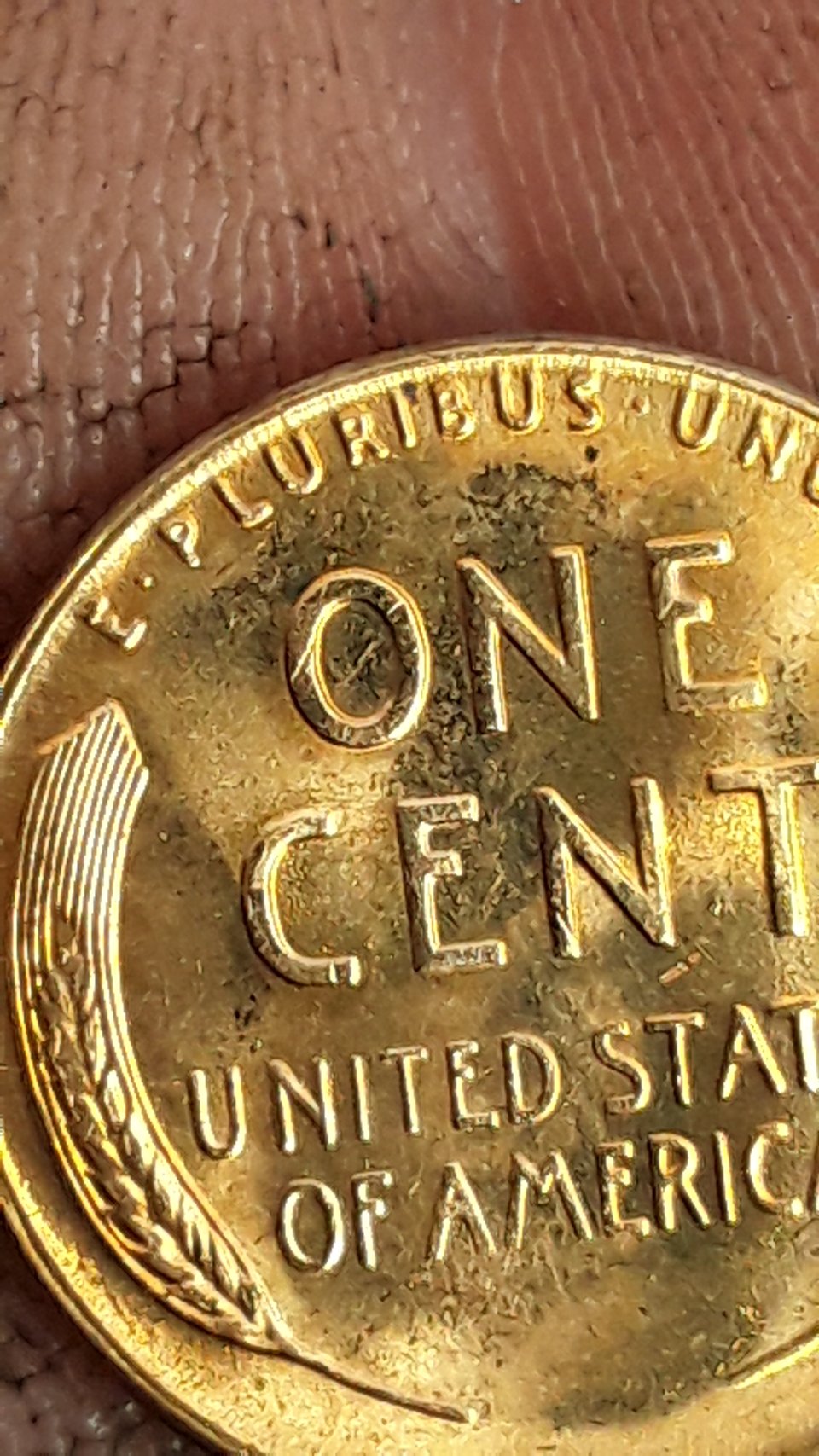 1954-S-Wheat-Cent,-Random-Die-Chips?