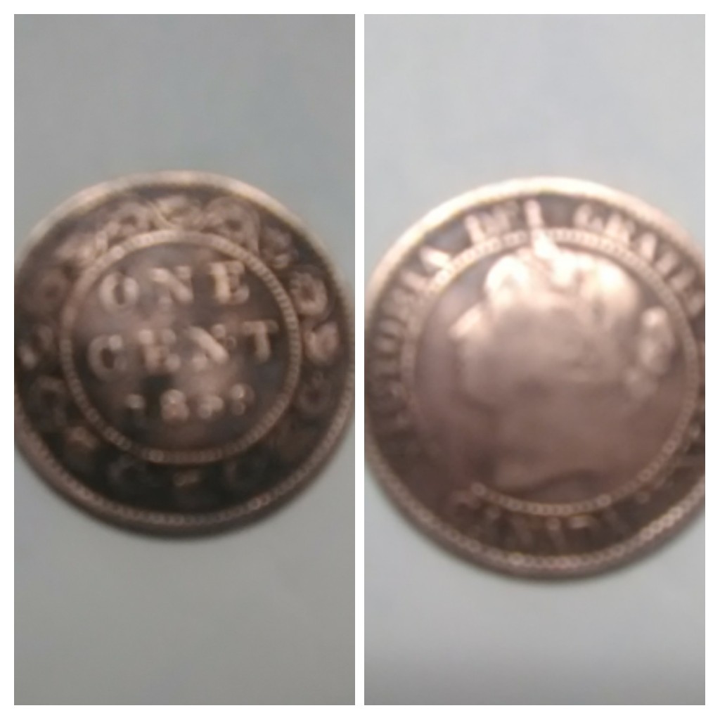 New-Member-Just-Learning-And-I-Have-Some-Coins