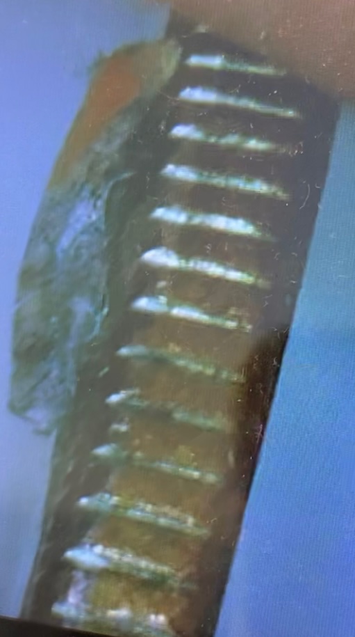 Georgia-Quarter-Clipped--On-Reverse?