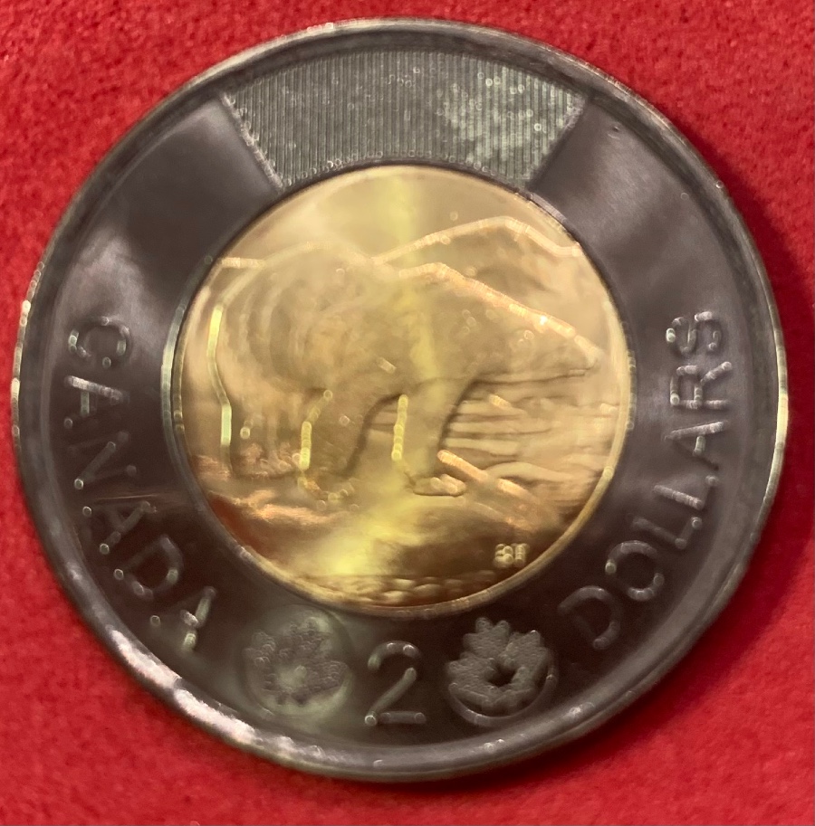 Black-Toonie-Errors-Or-Varieties-We-Should-Know-About?