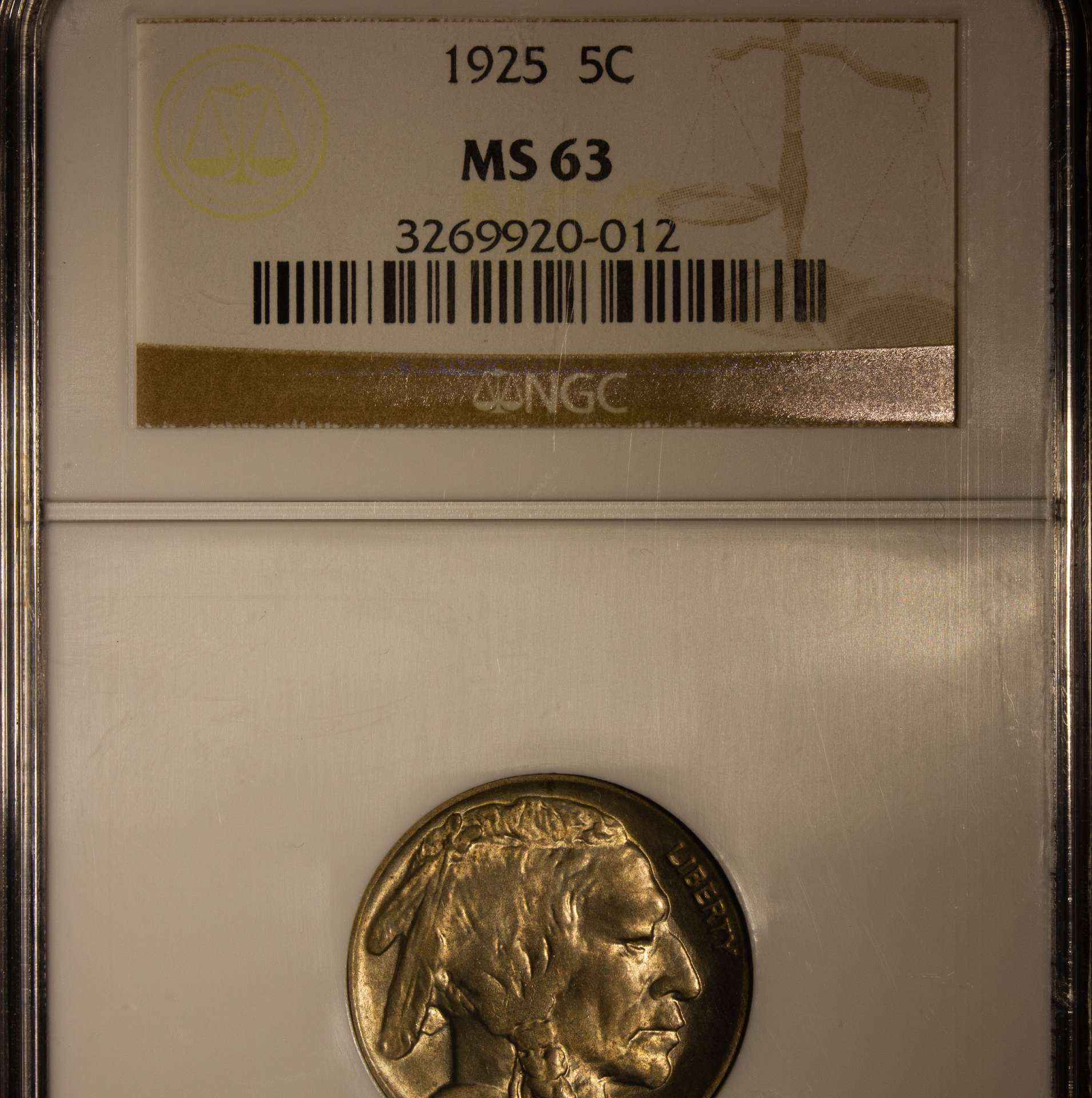 1925-P-Buffalo-Nickel-Please-Grade