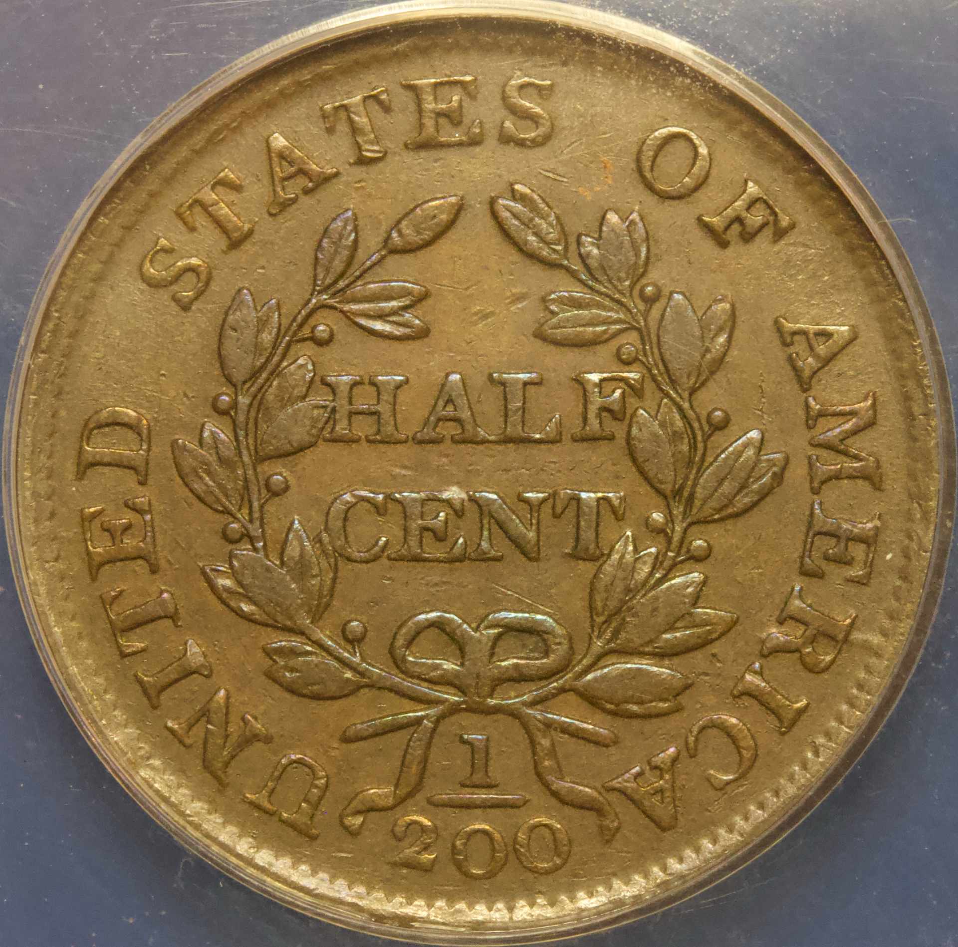 ANACS-EF40-1804-1/2-Cent