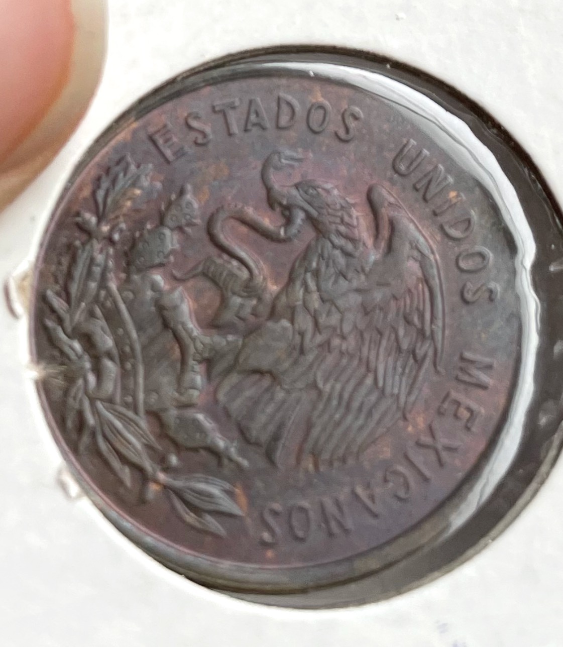 Eye-Candy-Corner:-Post-Your-Toned-Coins!