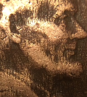 1941-P-LWC.-Tree-Bark-Finish-Or-Environmental-Damage-Or-Worn-Out-Die?