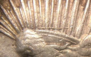 1922-P-Peace-Dollar.-Question-About-The-Reverse