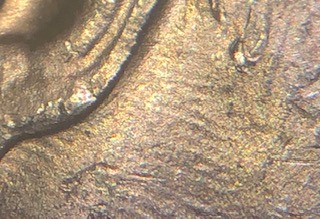 1964-P-Kennedy-Half,-Retooled-AH-Obverse-Die?
